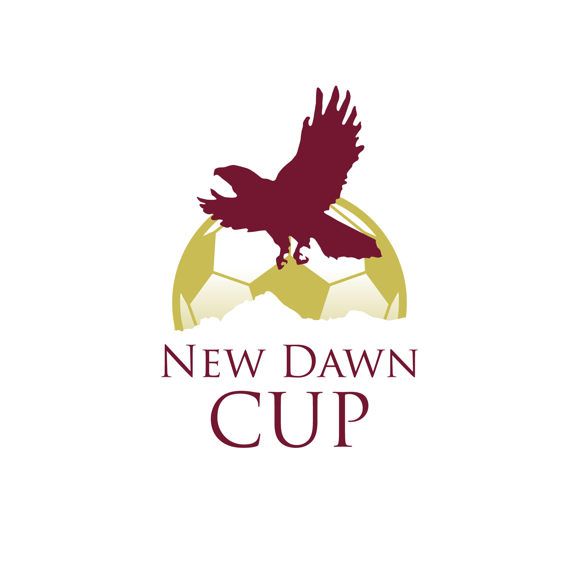 Youth 5v5 New Dawn Cup Registration Open! 